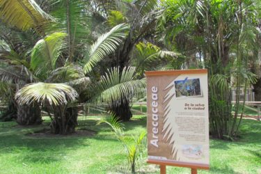 Plan, paneles y exposiciones interpretativas en el sendero del jardín botánico del Parque de las Leyendas
